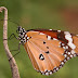 Dscn0182