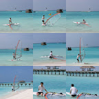 collage1.jpg
