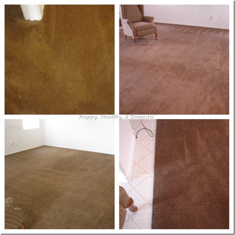 [Living-Room-Carpet-After_thumb12.jpg]