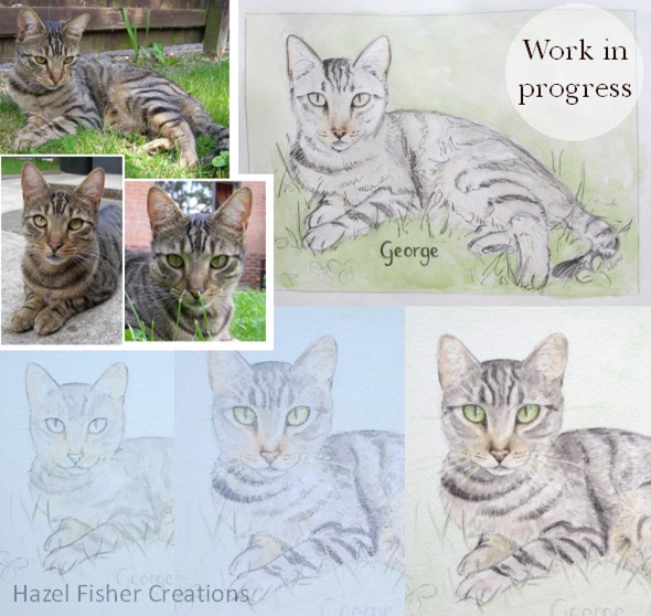 Pet cat portrait 2 Pet cat portrait 2