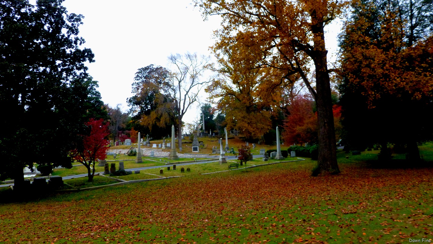 [Richmond_011%255B3%255D.jpg]