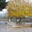 Pomares - Outono