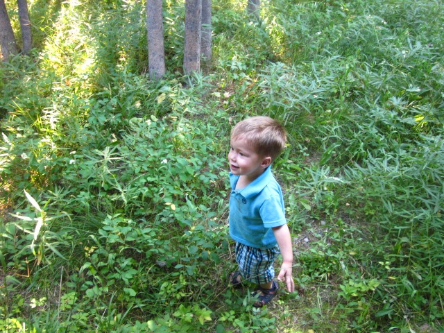 [IMG_3741%255B7%255D.jpg]