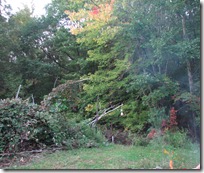 IMG_7608 IMG_7608