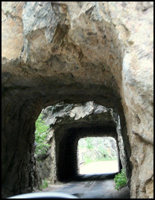 IMG_8873 IMG_8873