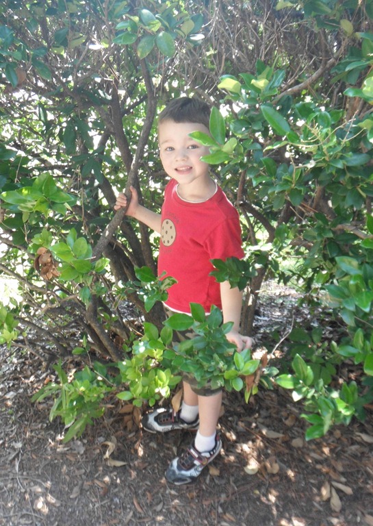 [Monroe5%255B3%255D.jpg]