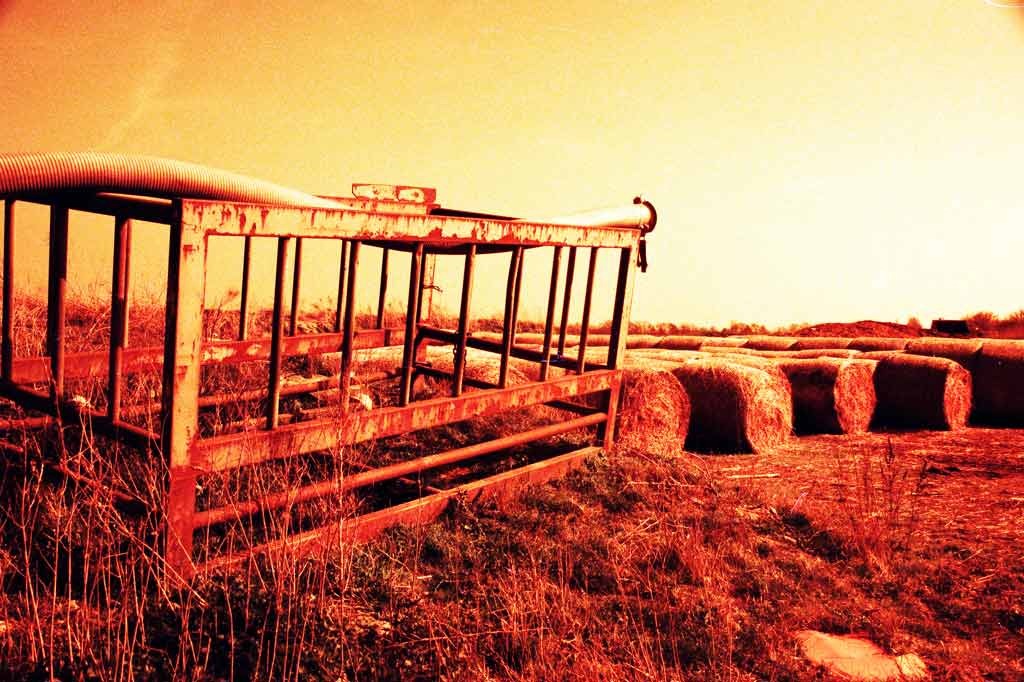 [Farm-Life-8---XPRO%255B3%255D.jpg]