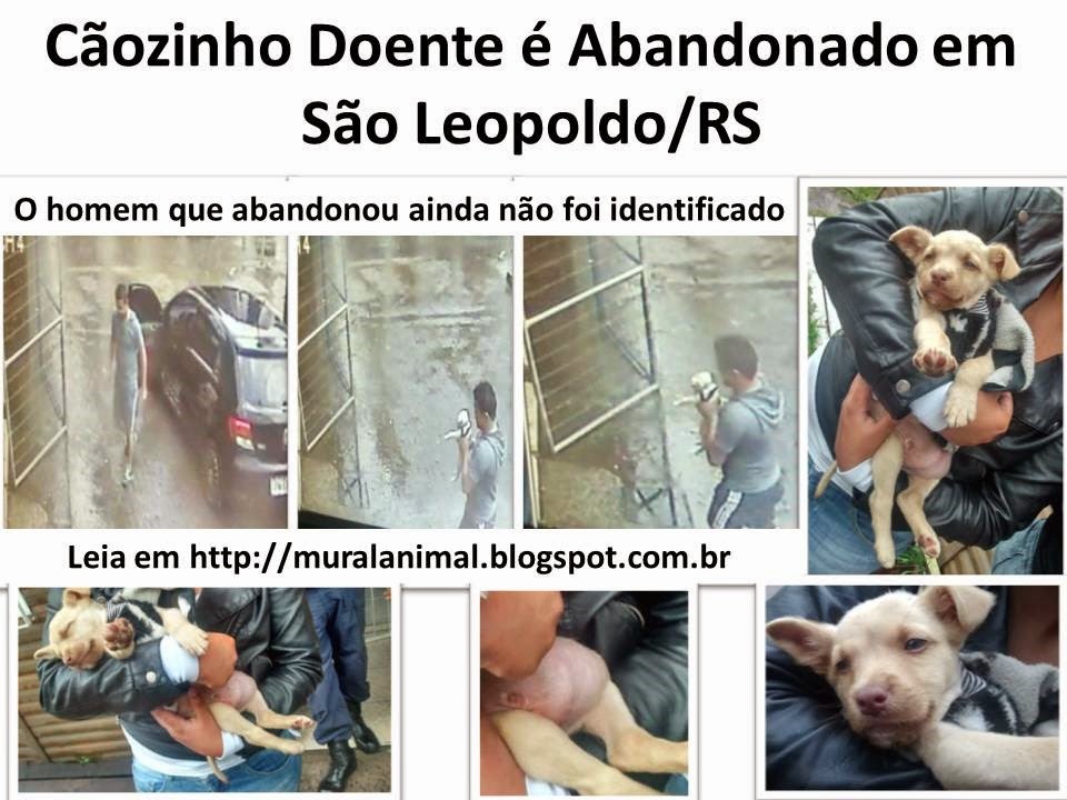 [C%25C3%25A3ozinho%2520Doente%2520%25C3%25A9%2520Abandonado%2520em%2520S%25C3%25A3o%2520Leopoldo%255B3%255D.jpg]