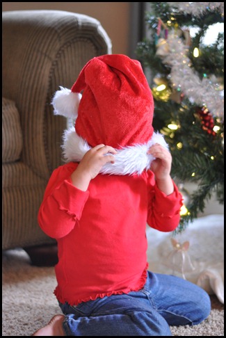 DSC_0204 DSC_0204