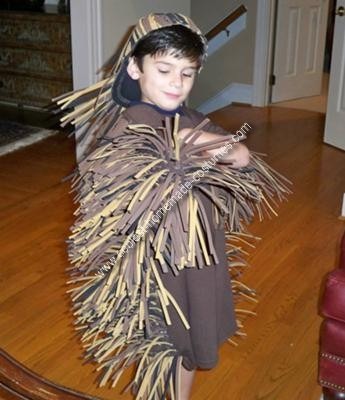 [coolest-home-made-porcupine-costume-3-21415786%255B3%255D.jpg]