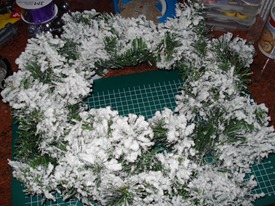 DSC01520
