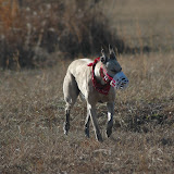 DSC_7287.JPG