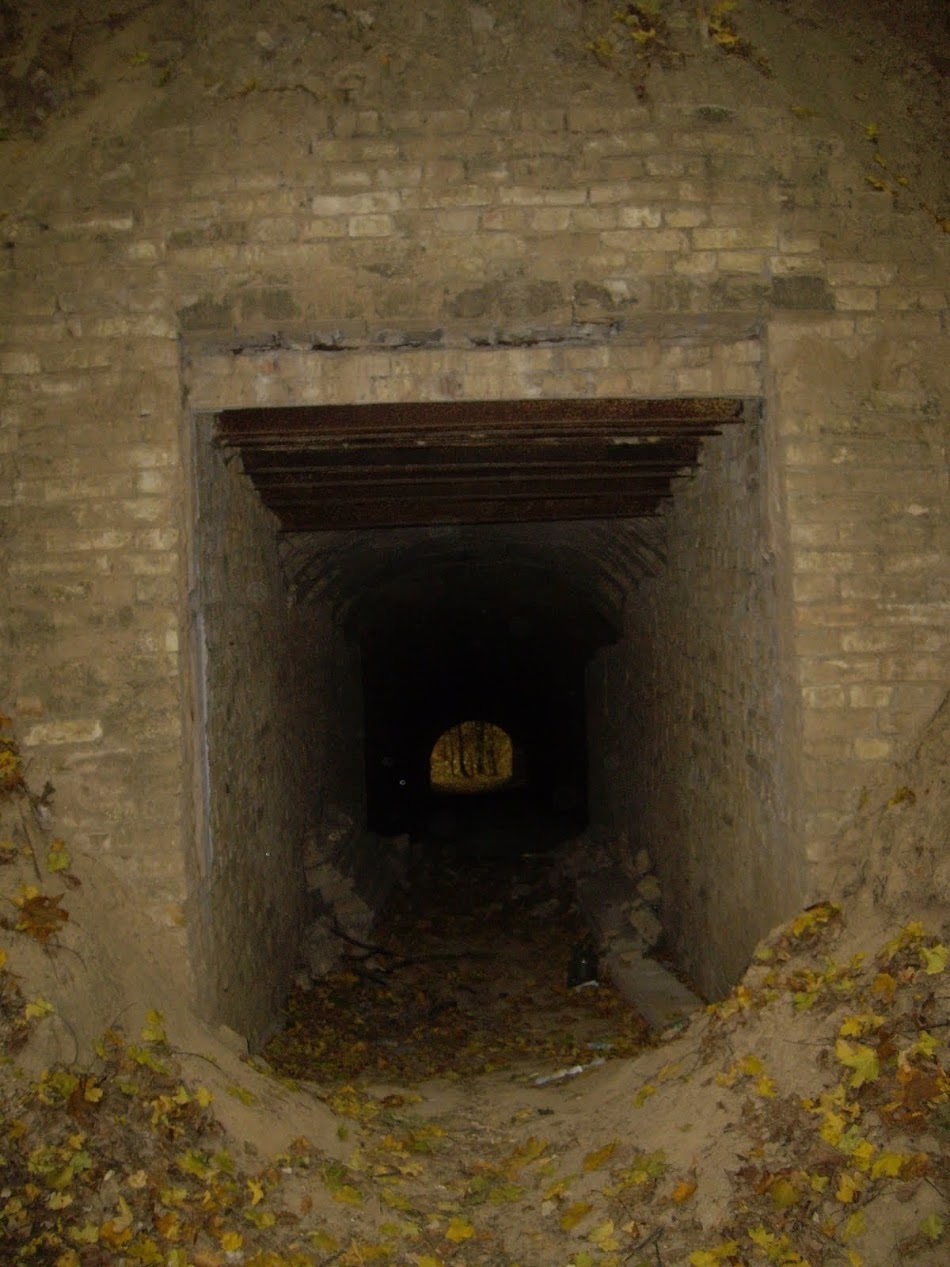 IMGP9987.JPG