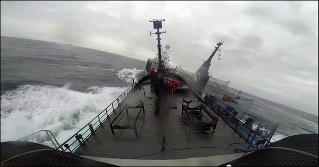 The Yushin Maru 2 collides with the Bob Barker from the starboard side. At approximately 0650 AEDT on 2 February 2014, the Bob Barker was hit by the Japanese whaling fleet's harpoon vessel, the Yushin Maru No. 2, as the harpoon vessel crossed in front of the bow of the Sea Shepherd ship at 67&deg; 29' S, 164&deg; 01' W. Photo: Tim Watters / SSCS