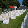 3100_IMGP0683.JPG