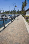 San Pedro Marina - Serpentine - B2 -3.jpg