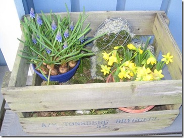 IMG_1322 IMG_1322