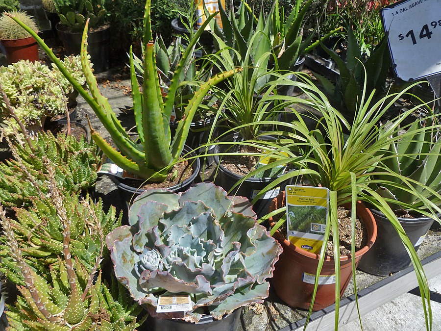 [120601_Lowes-Rancho-Cordova_05%255B3%255D.jpg]