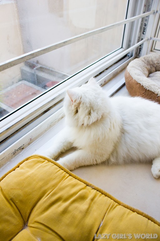 [2013-01-21-Last-week-in-Isloo-2453.jpg]