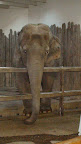 denver_zoo