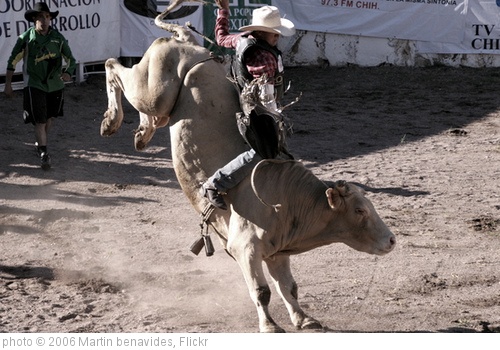 'rodeo' photo (c) 2006, Martin benavides - license: http://creativecommons.org/licenses/by/2.0/