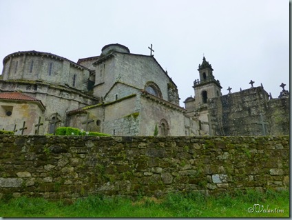 P1030809 P1030809