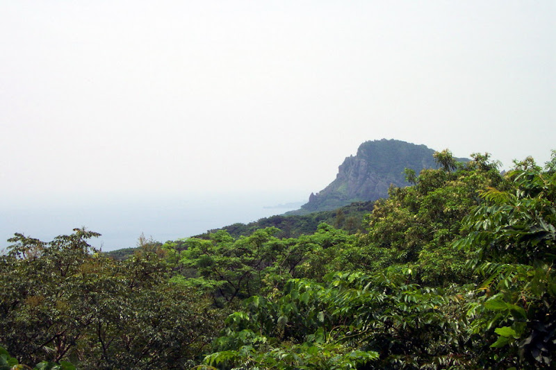 20060819_22_kenting_133.jpg