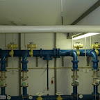 singold-bote_101003132847.jpg