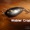 croppy2.jpg