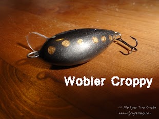 croppy2.jpg croppy2.jpg
