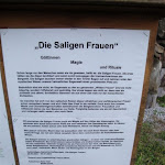 DSC05307.JPG