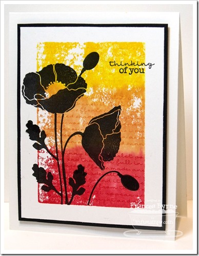 MFT-CreativePoppies-wm MFT-CreativePoppies-wm