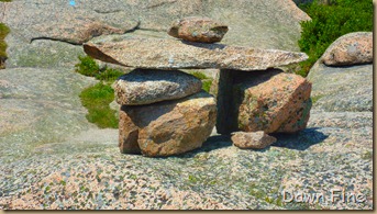 Acadia National Park_047