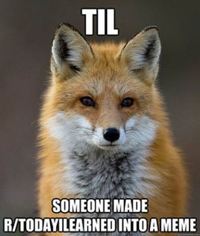 [fox-facts-meme-33%255B2%255D.jpg]