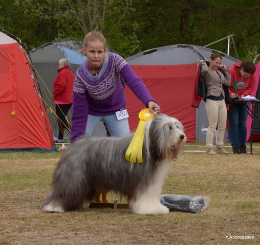 DSC_1268 DSC_1268