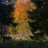 2008 Oktober