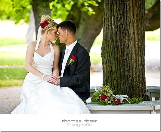 _MG_9100 _MG_9100