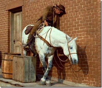 horse horse