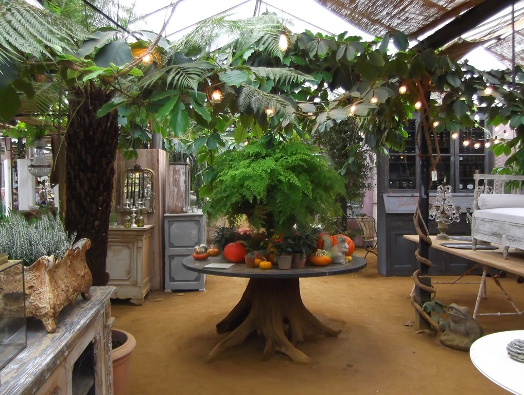 [DSCF1713%255B7%255D.jpg]