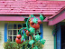 Magic Kingdom