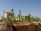 p1238556104(5).jpg