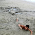 sand-shark.jpg