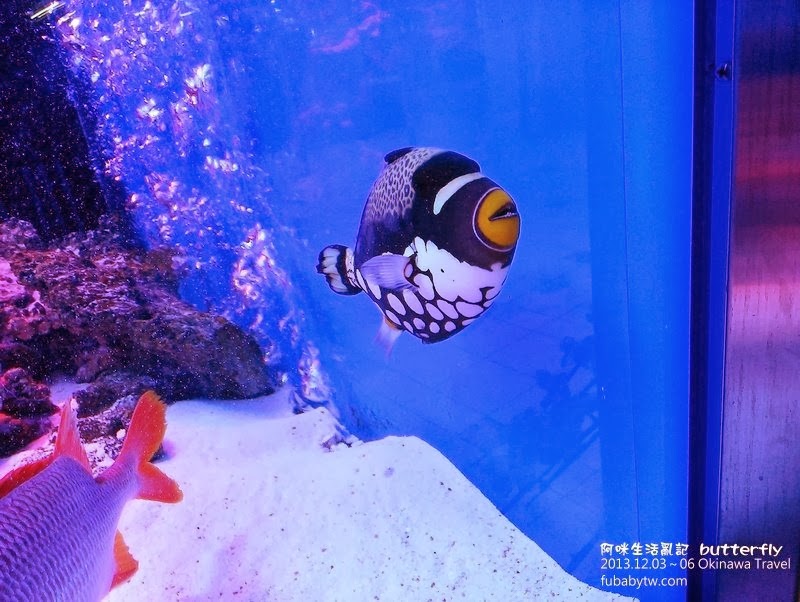 調整大小IMAG2145 調整大小IMAG2145