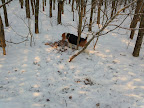 IMG125.jpg