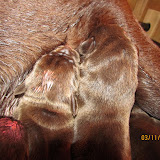 IMG_1112.JPG