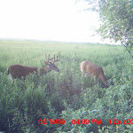 MDGC0167.JPG