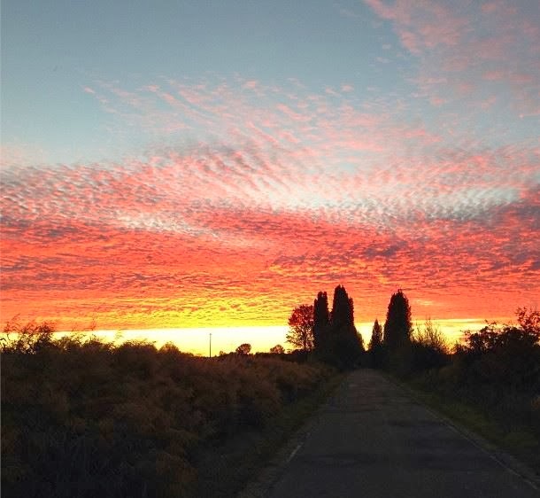 [Amanhecer-em-Carrion-de-Los-Condes-A.jpg]