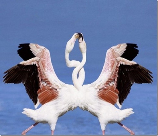 [clip_image020%255B3%255D.jpg]