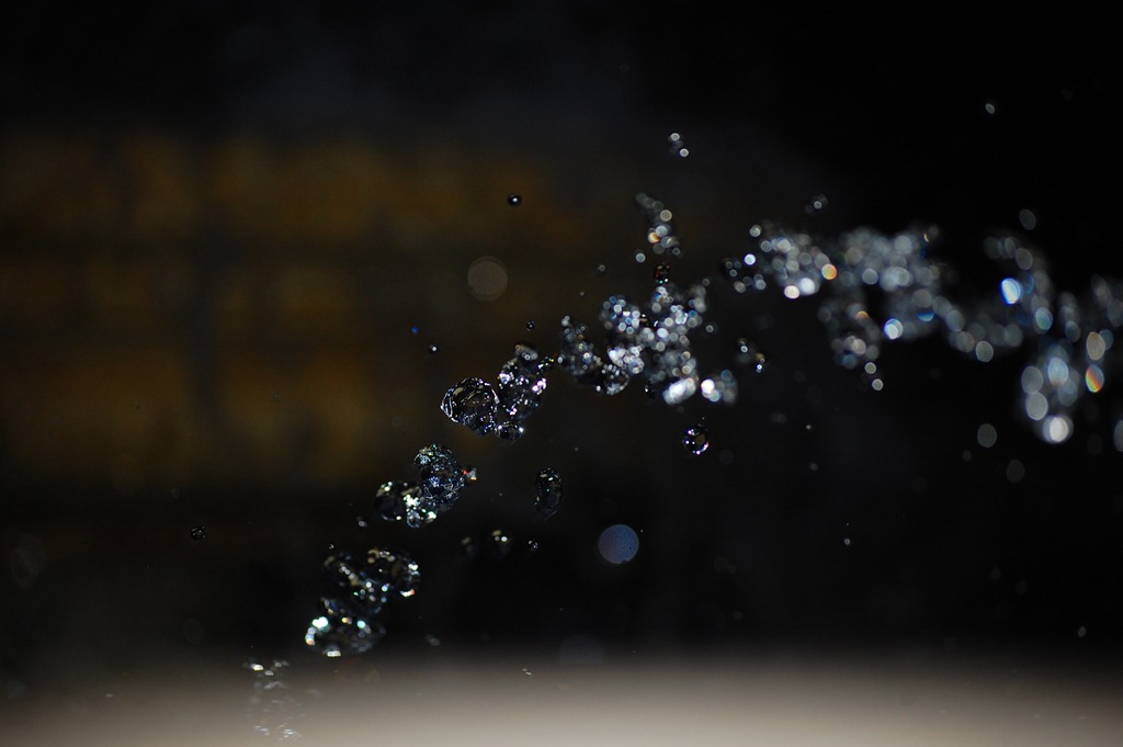 [DSC_1275%255B5%255D.jpg]