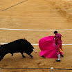 corrida_picassiana_07.jpg